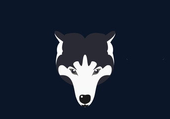 Wolf mascot vector art. Frontal symmetrical image of a wolf looks dangerous. Vector icon.