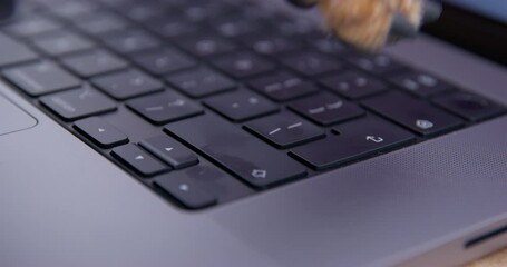 Dog presses with its paw on buttons of laptop keyboard. Trained animal easy to drive computer, convenient intuitive interface hacker attack, freelancer, office worker, home office. Computer addiction