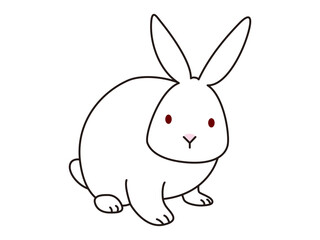 顔をこちらに向けて座っている白いうさぎ