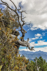 Panoramic View Of The Holy Ridge And Glacial Cirque At Sunrise On The Trail To Main Peak Of Xue Mountain (Snow mountain) , Shei-Pa National Park, Taiwan