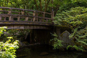 Fototapeta na wymiar old bridge in a Japanese forest