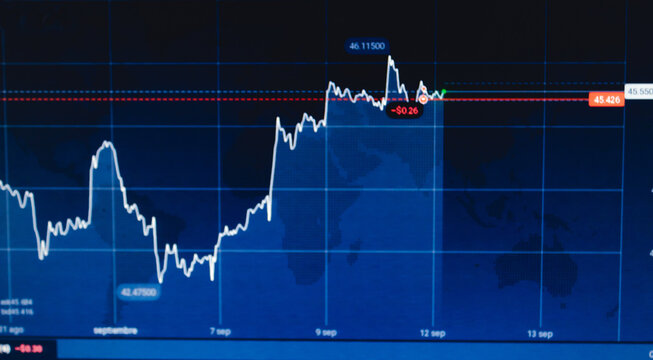 Computer analysis graphics of investing in the stock market making money in the market.
