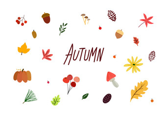 Autumn elements