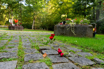 Gedenksteine als Fußweg mit Blumen  in Düsseldorf