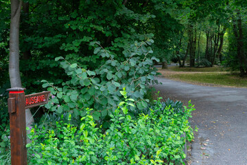 Hinweisschild zum Ausgang  in Düsseldorf