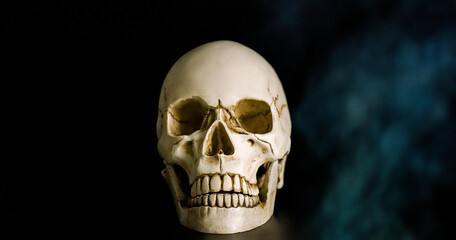 Front side view of Human skull on Halloween spooky isolated on black background.