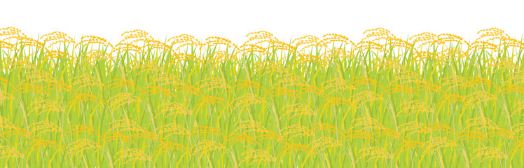 稲穂　米の収穫の季節　稲刈り　背景透明png
