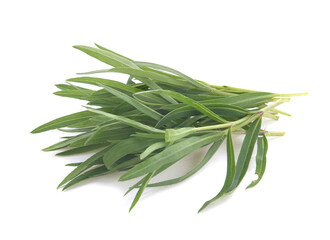 Fototapeta premium Tarragon isolated on white background