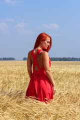Naklejka premium red-haired beautiful girl in the field