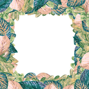 Watercolor frame autumn foliage, forest leaf isolated for your design