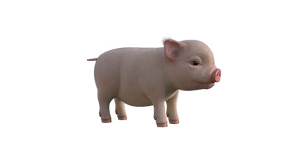 Fury The Piglet poses for your illustrations. Cartoon Figure Photo-realistic illustration for collage isolated on a white background. 3d rendering, 3D illustration.