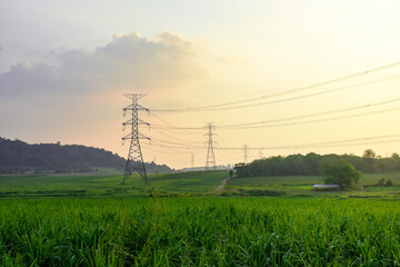 High voltage electricity distribution pole with trees shadow at sunset, electric supply...