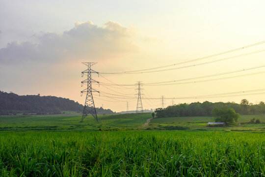High voltage electricity distribution pole with trees shadow at sunset, electric supply transmission pylon line for energy generator technology industry