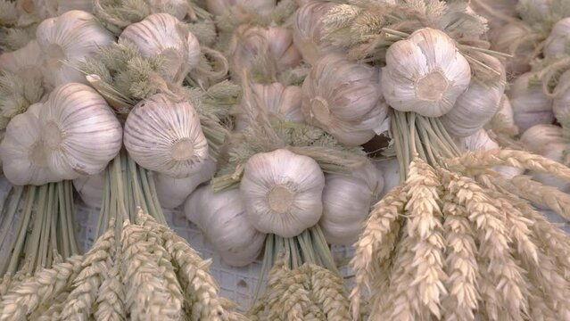 Garlic pile, many garlic heads in a row, garlic clove in market.