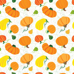 Seamless pattern. Vector. Orange pumpkins on a white background with outlined leaves. For packaging, fabric, for the decor of autumn holidays.