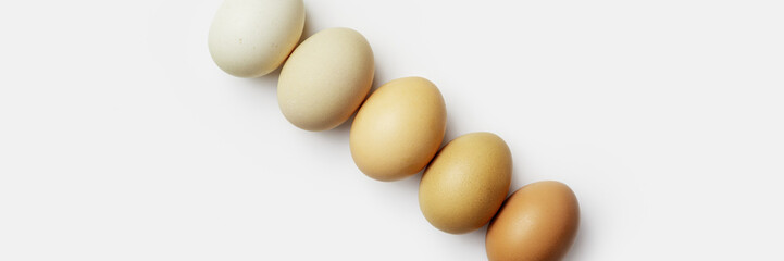 Close-up view of raw chicken eggs. Creative minimal photo made of eggs on white background. Color gradient brown colored, neutral color tones. Easter trend concept. Top view wide banner - obrazy, fototapety, plakaty