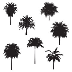 Fototapeta na wymiar Palm trees black silhouette