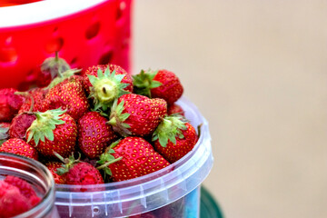 Selling ripe strawberries in a street bazaar. Fresh ripe strawberries grown on a farm on a small counter.
