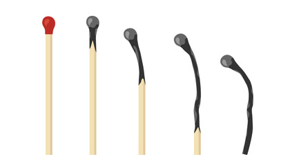 Burnt Stages matches isolated on white background. Wooden matches. Match stick icon set. Flat vector illustration. Design element For cards, posters, decor, logo, web. Match combustion steps