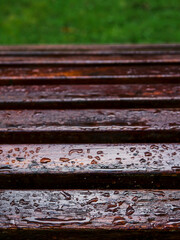Water drops after rain on a brown wooden bench in a park. Abstract fall or autumn season concept. Selective focus.