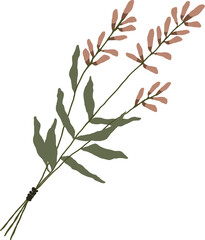 Botanical collection. bunches of wild herbs. Flowers, leaves, branches and other natural elements.