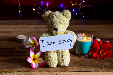 i am sorry message card handwriting with teddy bear in night arrangement flat lay style on...