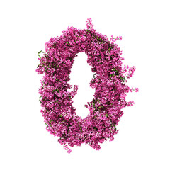 3d rendering of Bougainvillea number isolated