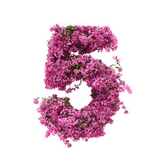 3d rendering of Bougainvillea number isolated