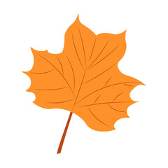 Autumn Leaves Vector Illustration. Autumn leaves. Top view of fall tree leaf. Flat vector