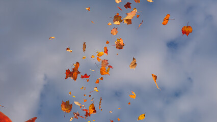 Seasonal Wallpaper with Fall Leaves blowing in the wind. Cloudy Sky Banner with copy-space.