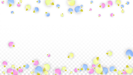 Vector Realistic Colorful Petals Falling on Transparent Background.  Spring Romantic Flowers Illustration. Flying Petals. Sakura Spa Design. Blossom Confetti. Design Elements for Wedding Decoration.