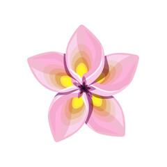 A beautiful plumeria flower isolated on a white background.Vector flower for postcards,textiles.