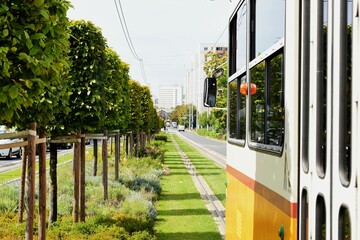 green lawn in between tramway steel tracks. diminishing perspective with yellow tram closeup and...