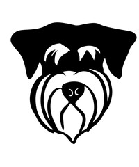 vector of head of miniature schnauzer 