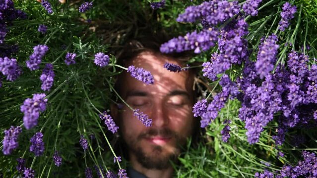 Camera move down to young man lying among lavander flowers in blossom field enjoing nature. Happy smiling guy relax on the grass on sunny summer day. Freedom concept.