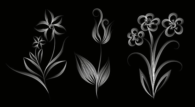 Set of white flowers on black, sketch drawing with line art background