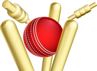 Cricket Ball Breaking Wicket Stumps - obrazy, fototapety, plakaty