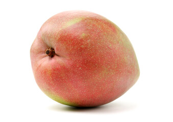 Australian Mango on a white background