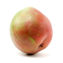 Australian Mango on a white background