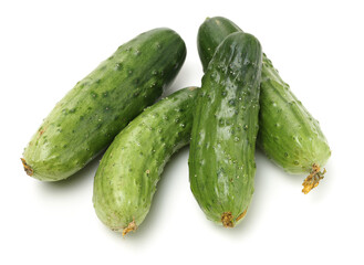 Green cucumber on the white background