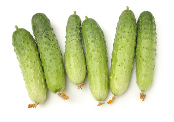 Green cucumber on the white background