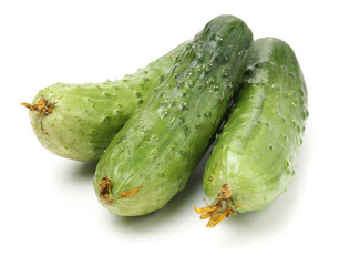 Green cucumber on the white background