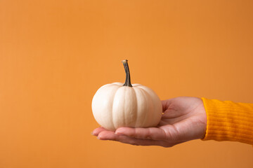 A small decorative white pumpkin in a woman's hand in a sweater on an orange background