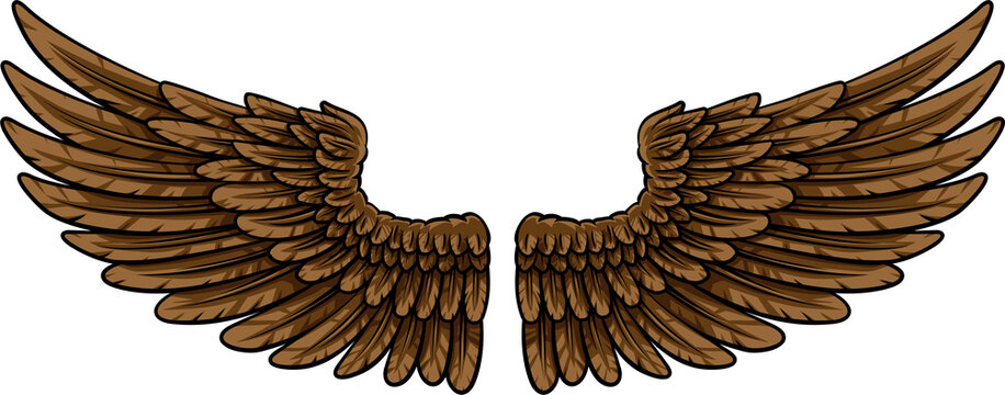 A pair of spread feather wings like those of an eagle or angel
