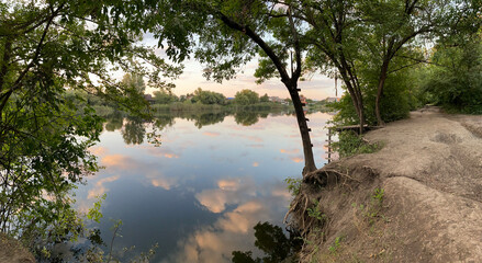 Summer forest lake with mirror reflection of trees and vegetation near the village