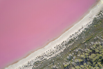 Looking down on a pink lake caused by algae in rural Australia