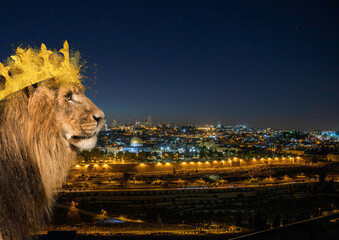 Lion with Crown and City of Jerusalem behind