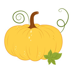 Yellow pumpkin with flower. Autumn harvest. Halloween decoration. Png graphic element. Flat vector pumpkin .