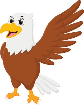 Cartoon eagle isolated on white background	

