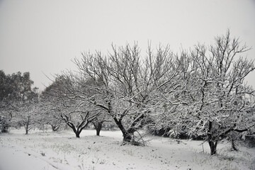 snowy countryside